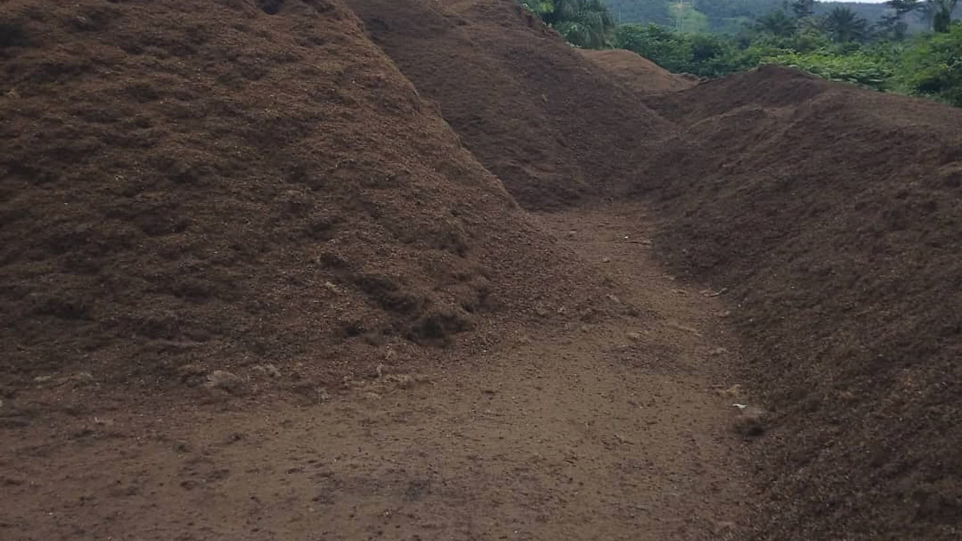 A corridor of palm kernel mounds receding towards the hills