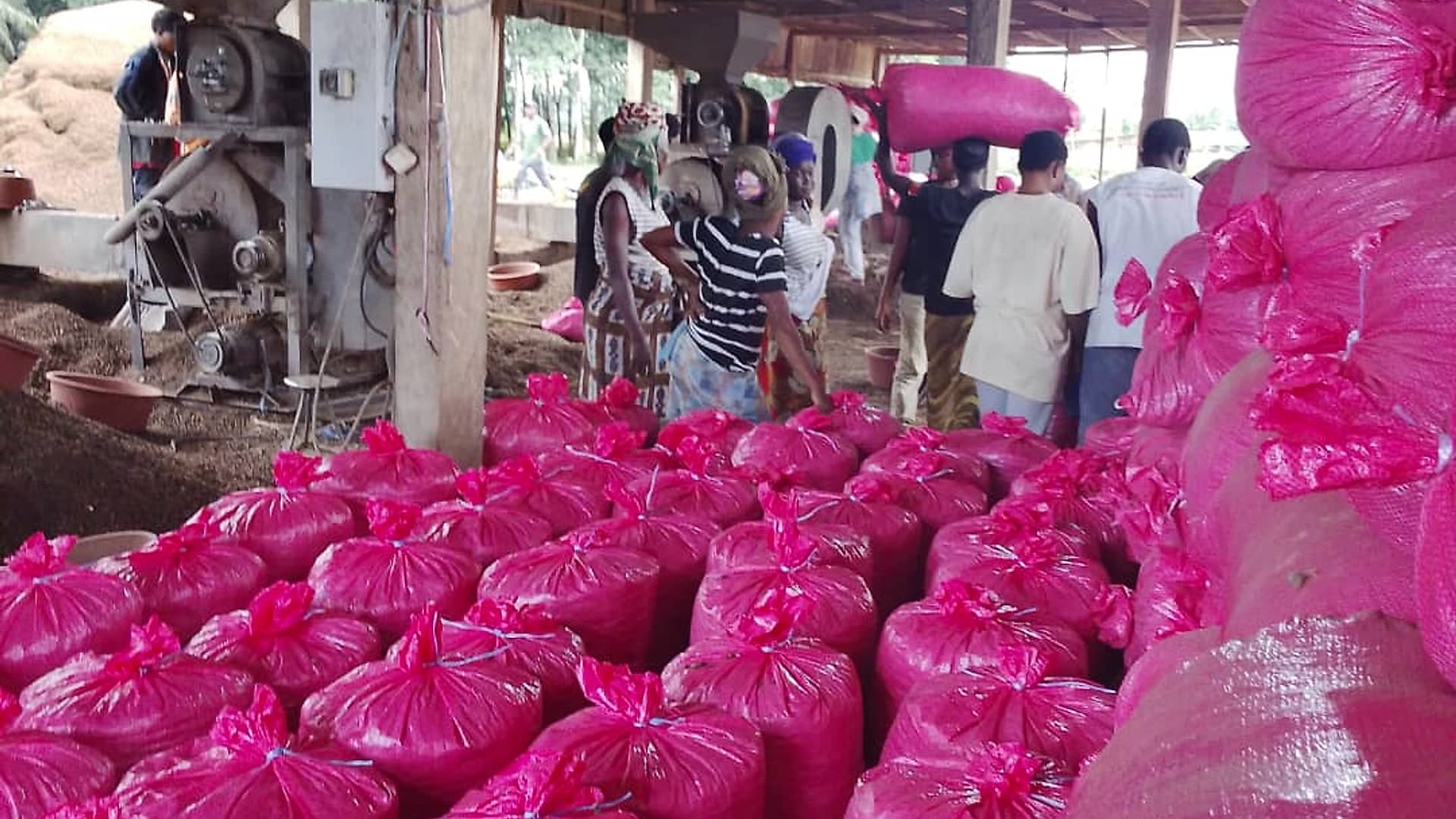 The mill interior filled with tied sacks of palm kernel ready for dispatch